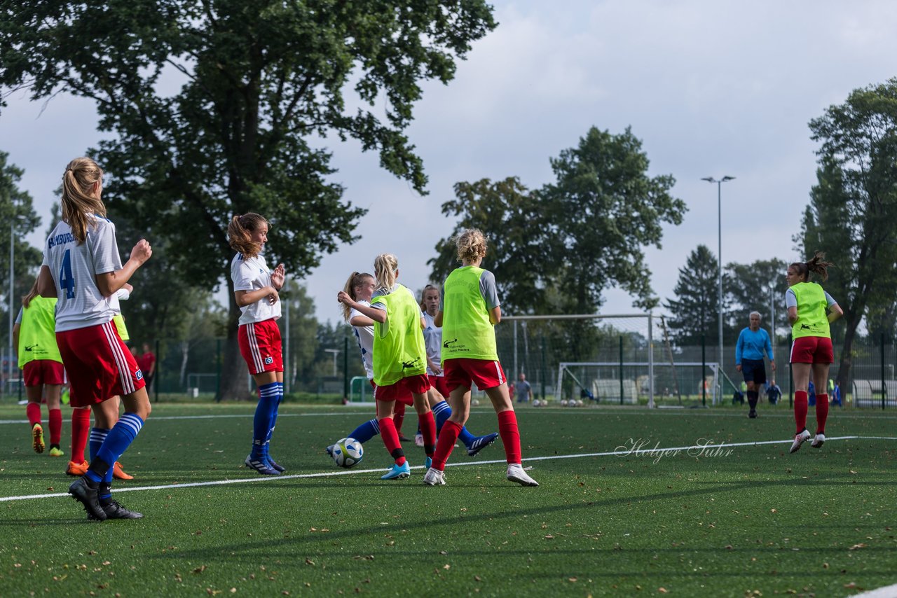 Bild 307 - C-Juniorinnen HSV - Walddoerfer : Ergebnis: 9:1